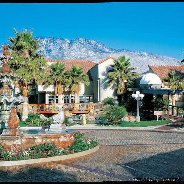 The Oasis Resort Palm Springs Exteriér fotografie